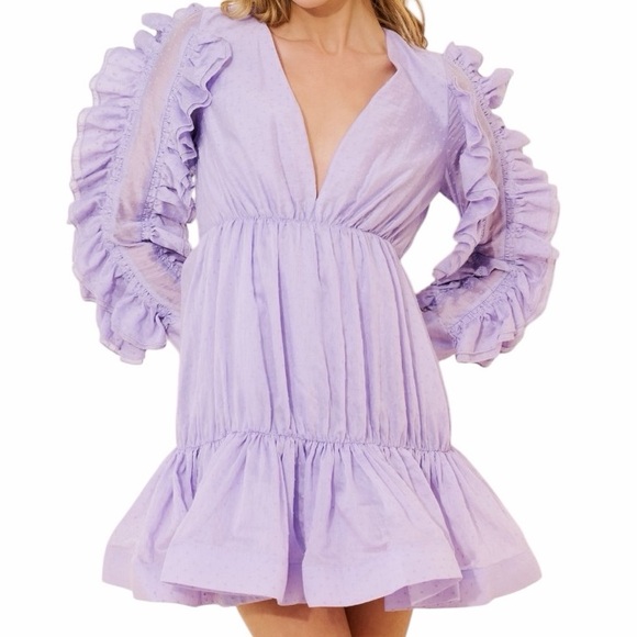 Free People Lilac Ruffle Mini Dress EUC - Picture 6 of 15